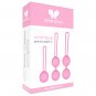 Intimichic Pelvis Health II Pelvic Floor Rehabilitation