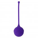 Intense Kisha Fit One Silicone Kegel Purple