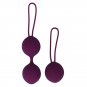 Coverme Kegel Kit Purple