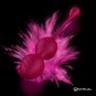Rithual Nisha Rechargeable Kegel Balls Orquidea
