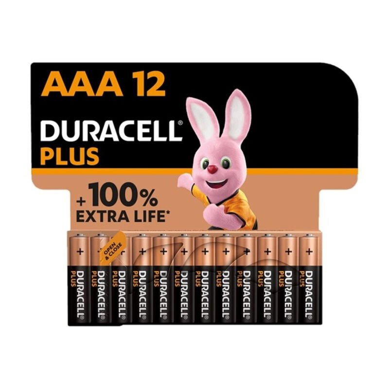 Duracell Plus Power 100 Alkaline Battery Aaa Lr03 12 Unit