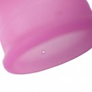 Nina Cup Menstrual Cup Size Purple L 6 + 1 Free