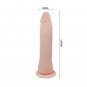 Dance Fit Realistic Tpr Vertebrate 20.1cm