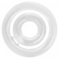 Addicted Toys Potenz- C-ring Penis Clear