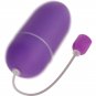 Online Waterproof Vibrating Egg, Purple