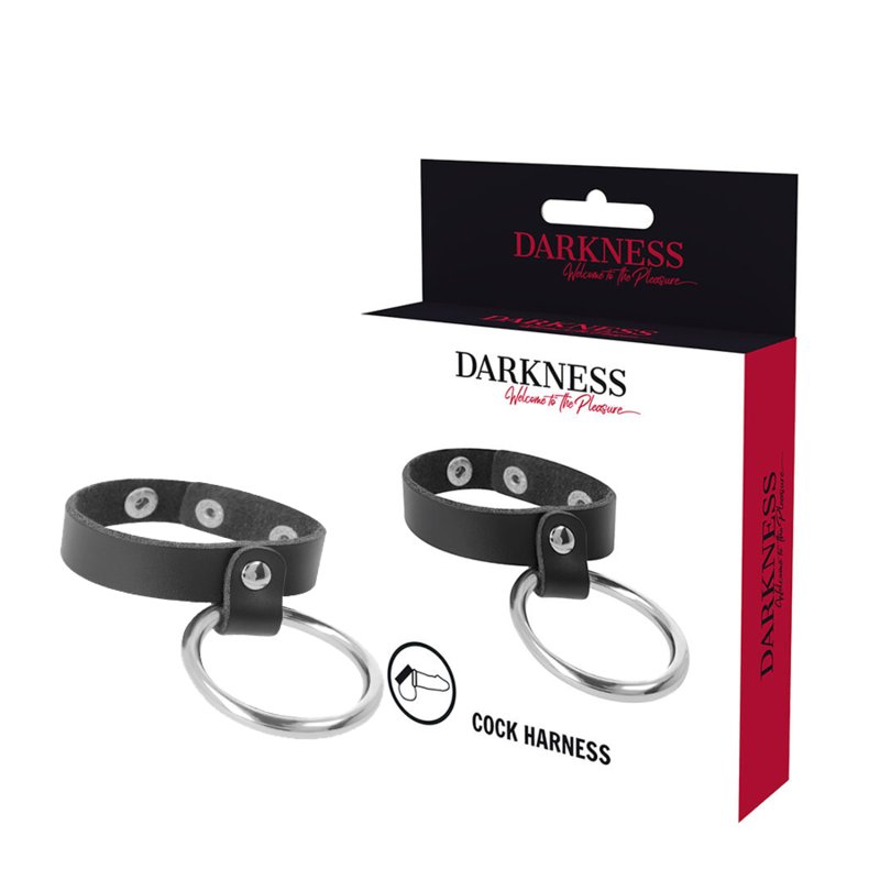 Darkness Metal Ring For The Penis And Testicles