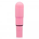 Glossy Pocket Vibrator Pink