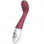 Cici Beauty Controller + Vibrator Number 5