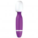 B Swish Bthrilled Classic Massager Purple