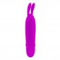 Pretty Love Flirtation - Boyce Stimulator Purple