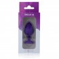 Intense Shelki M Plug Anal Purple