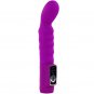 Pretty Love Body Touch Ii Vibrator Purple