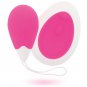 Intense Jan Vibrating Egg Remote Deep Pink