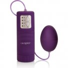 Calex Pocket Exotics Waterproof Egg Purple 4v
