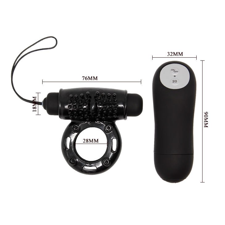 Baile Control Remote Black 20v Ring