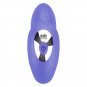 Mr Boss Josef Pulsation & Vibration Remote Control For Couples