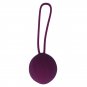 Coverme Kegel Kit Purple
