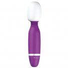 B Swish Bthrilled Classic Massager Purple