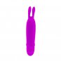 Pretty Love Flirtation, Boyce Stimulator Purple