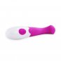 Pretty Love Flirtation, Charles Vibrator Purple