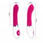 Pretty Love Flirtation, Daniel Vibrator