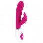 Pretty Love Flirtation, Felix Vibrator
