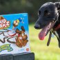 Skid Markz board game