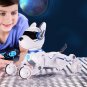 Ziggy the Robo Dog