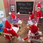 Naughty Elf Vinyl Faced Elves Behaving Badly Christmas Doll
