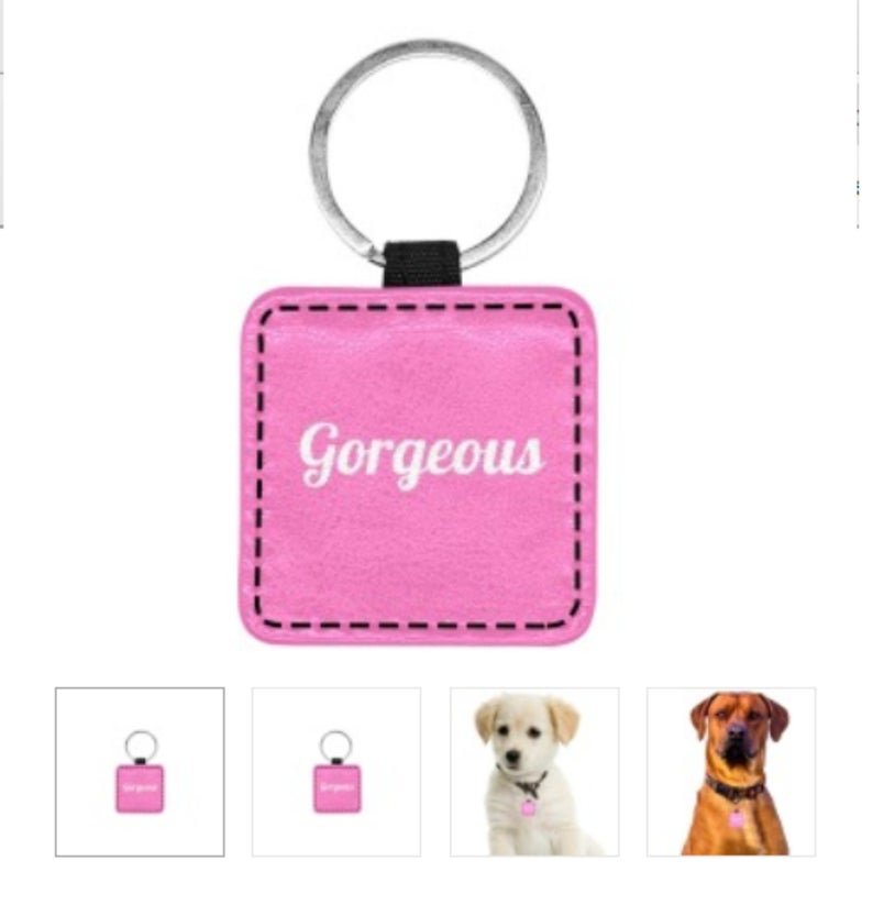GORGEOUS Print Square Pet ID Tag or Key Chain