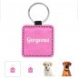 GORGEOUS Print Square Pet ID Tag or Key Chain