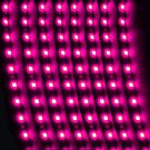 8Pcs 12V 15 LED 30cm Car Motor Vehicle Flexible Waterproof Strip Light Purple