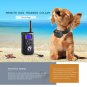 Dog Training Waterproof Collar Remote Control Electric Shock Adjustable Levels