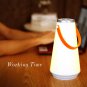 Wireless Portable Lantern Dimmable Night Light Rechargeable Lamp Touch Sensor