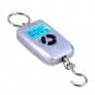 45Kg x 10g Digital LCD Fish Hanging Luggage Weight Electronic Hook Pocket Scale