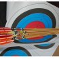 10PK  40X40 CM Archery Target Paper Face for Arrow Bow Shooting Hunting Practice