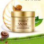 4 pcs Snail Face Skin Care Set Day Cream/Essence/ Eye Cream/Cleanser Anti Aging