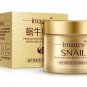 4 pcs Snail Face Skin Care Set Day Cream/Essence/ Eye Cream/Cleanser Anti Aging