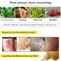 LANBENA ginseng extract against black dots cream scar removal facial 30 ml