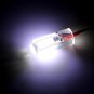 Brightness Fishing Lighting Lights Attract Fish Cool White Warm White DC 12V 48