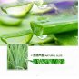 New Soothing Moisturizing Aloe Vera Gel Wrinkle Cream Repair Anti Acne Face Care