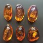 7pcs Natural Amber Pendant Resin Animal Scorpion Crabs Ant Insect Stone Necklace