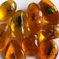 7pcs Natural Amber Pendant Resin Animal Scorpion Crabs Ant Insect Stone Necklace