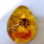 7pcs Natural Amber Pendant Resin Animal Scorpion Crabs Ant Insect Stone Necklace