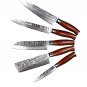 5Pcs Damascus Steel Kitchen Knife sets Professional VG10 Chef Knives Set