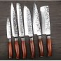 5Pcs Damascus Steel Kitchen Knife sets Professional VG10 Chef Knives Set