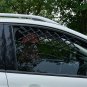 Universal Pet Car Window Vent Safe Guard For Dog Protection Travel Vehicle