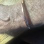 Men's 8 Inch Solid Copper Magnetic Cuff Bracelet CBM1112- 1/4 inch wide.
