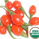 Himalayan USDA Certified Organic Goji Berry Seeds [1000+ Pack]