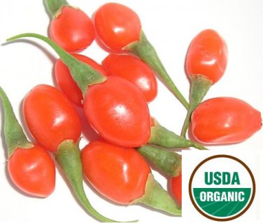 Himalayan USDA Certified Organic Goji Berry Seeds [1000+ Pack]